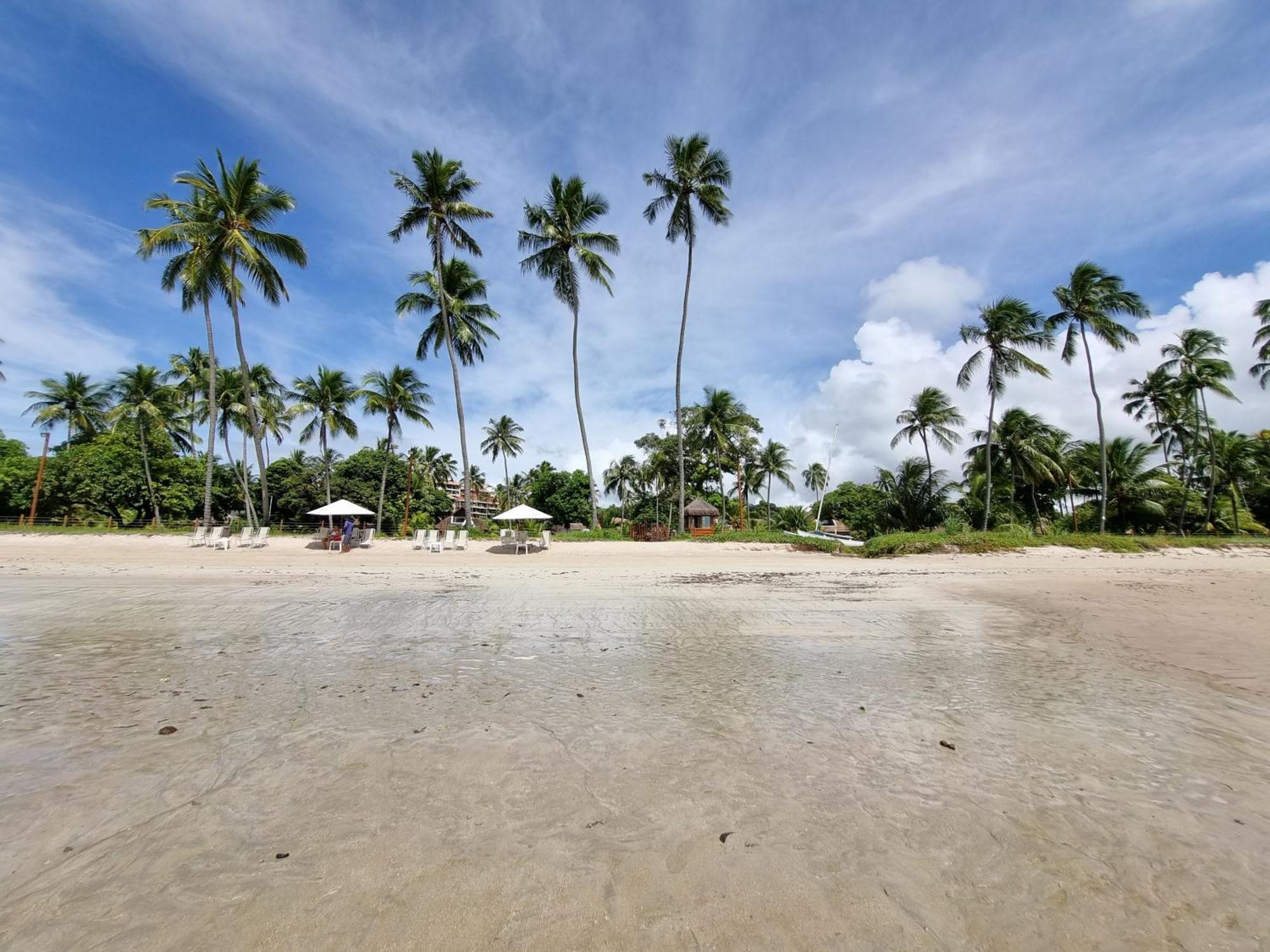 Ecoresort - Praia Dos Carneiros Eksteriør billede