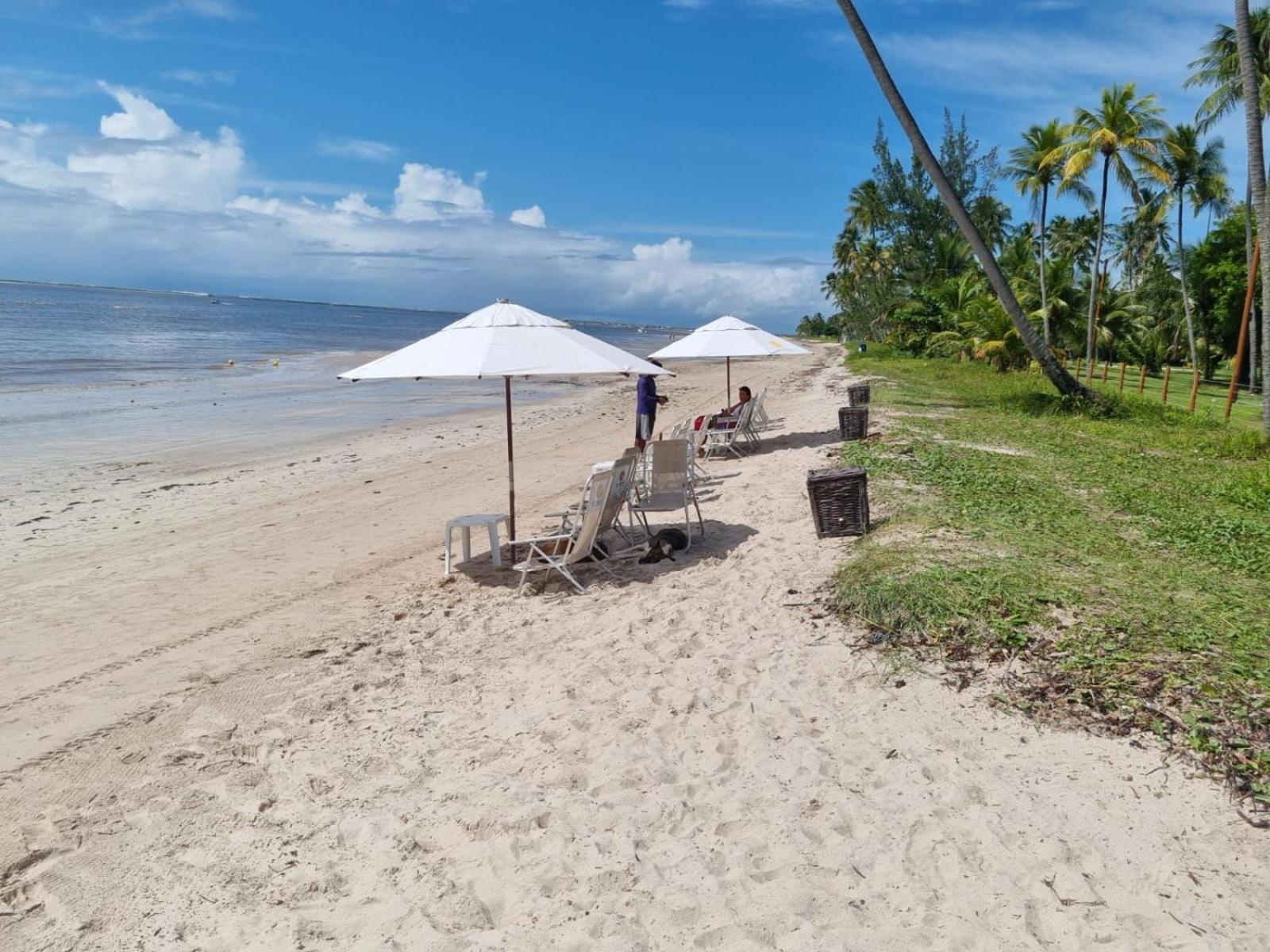Ecoresort - Praia Dos Carneiros Eksteriør billede